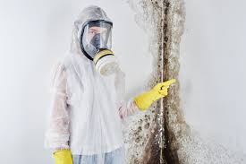 Trusted Glenwood, IL Mold Remediation Experts